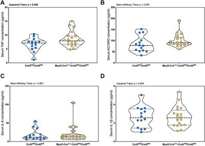 Muscle-restricted knockout of connexin 43 and connexin 45 accelerates and improves locomotor recovery after contusion spinal cord injury